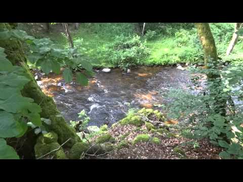 Image de prévisualisation YouTube