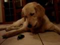 videos de MOV02896.MPG