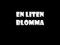 en liten blomma, familjefar
