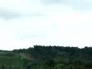 Vaca no meio da estrada
