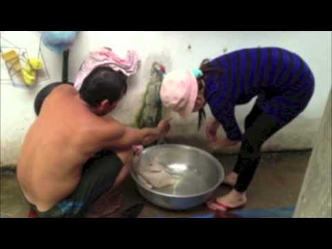 WOMAN SLAUGHTER CHİCKEN