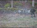 Rensning av värn AMF1 07-08