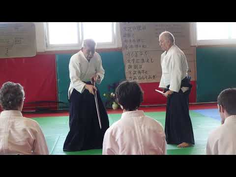 30 202604 SUGA Vire Armes Kumitachi