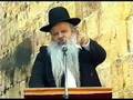 הרב דניאל זר - פרש פרש