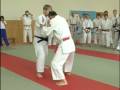 ouchi gari kihon