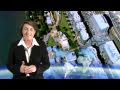 World Computer Congress 2010 introduction from Anna Bligh