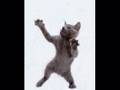 KRAZY KATS