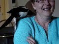 Poppe The Magpie - Part 2