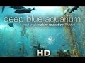 Deep Blue Aquarium 1 HR Static Nature Relaxation Screensaver Video 1080p