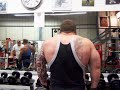 shrugs with 50kg dumbells