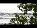 videos Surf