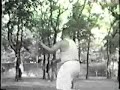 zhang jun feng teaching xingyi in taiwan