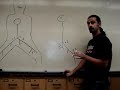 Veins & Arteries [brief]