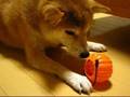 ハロウィンおやつ