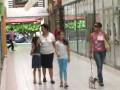 CAMARA DE COMERCIO CREDITO.mpg