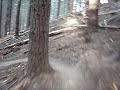 Bigfoot Downhill - Hanmer