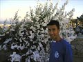 Ayval?k Özcan-Eray-Erdi Ayval?k Özcan-Eray-Erdi