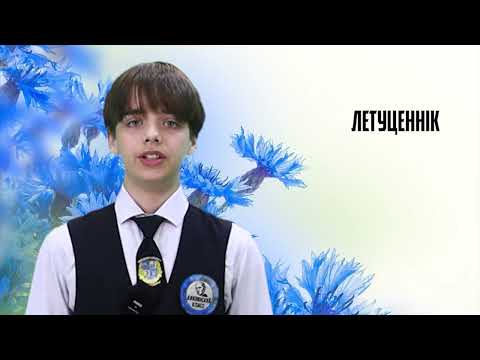 https://youtu.be/Mv2Rq45J_Wc