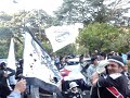 Cuervo de mi Vida