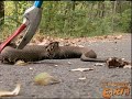 See Video
