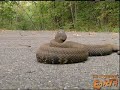 See Video