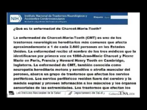 Imagen de previsualización de YouTube