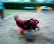 lol in ede (Jaimy op wip :p)