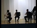 Accordion trio: Winter - Antonio Vivaldi