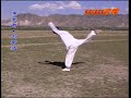 San Lu Mizong Quan (Lost Track Fist Third Line)