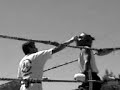 pelea de box SenK.