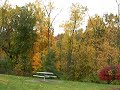 Fall foliage from Pennsylvania via the Ohio Valley