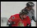 Kronwall Hits McAmmond, Fights Donovan -TOR @ OTT-Mar 22 08