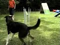 Ted learning weaves
