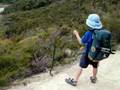 Tramping through Abel Tasman National Park, New Zealand