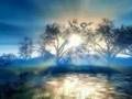 Mozart-concerto Pour Violon N°3