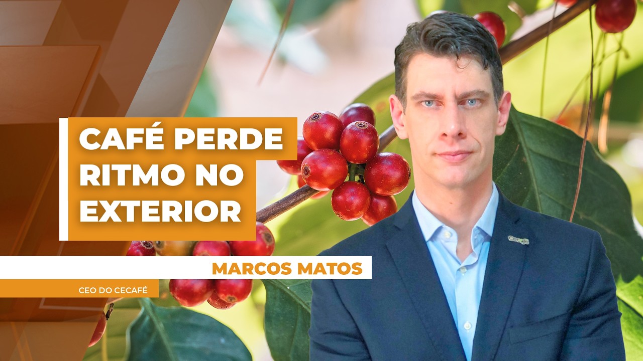 EXPORTAÇÃO DE CAFÉ - EDIÇÃO 15/04/2026