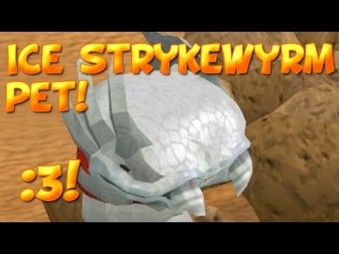 how to get more slayer points