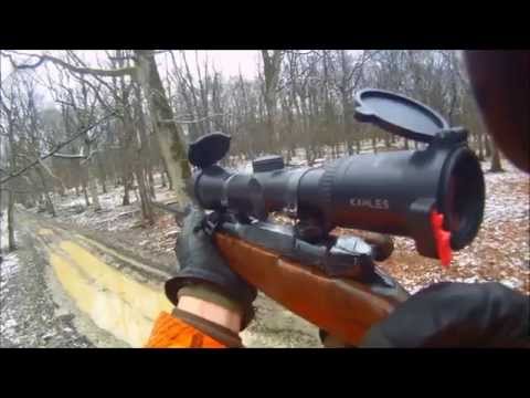 chasse -