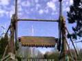 buzzsaw walibi