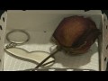 1º Realización 08/09