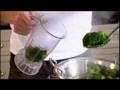 Broccoli Soup