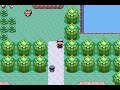Pokemon Sapphire Text Hack - Littleroot Town (4/6)