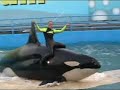 ORCA, No asesina... divertida