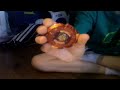 Click here to watch this video fang leone burning claw version review