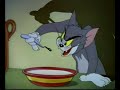 Tom & Jerry ( tarjama, youssoufia ) Tom & Jerry ( tarjama, youssoufia )