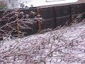 December 02, 2009, Snow in McKinney, Texas
