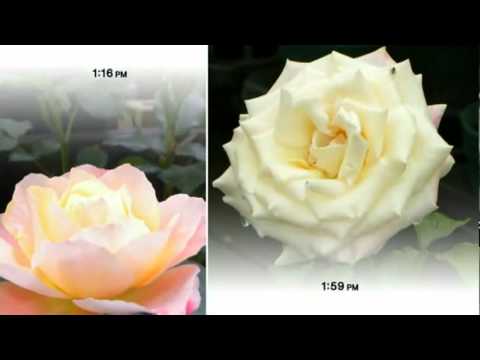 x Pict Story HD - SONYのブルーレイレコーダーに付属していたX-pict Storyでスライドムービーを作ってみました自動(おまかせ)でそれなりの作品ができました.