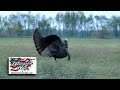 Turkey Hunting The American Way With the CVA Apex