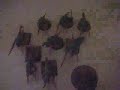 New Nids Army