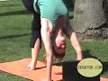 Yogi - Thumb #2